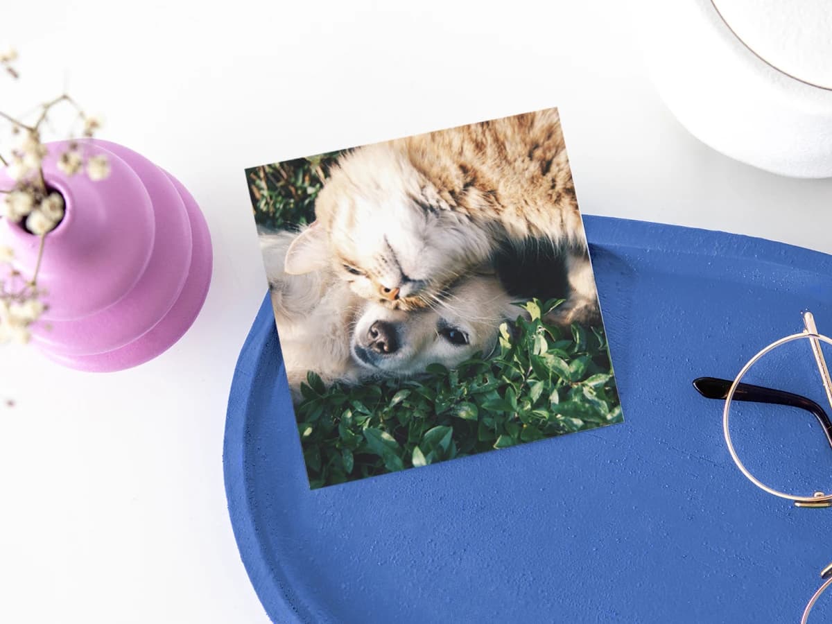 Print 4x4 product preview