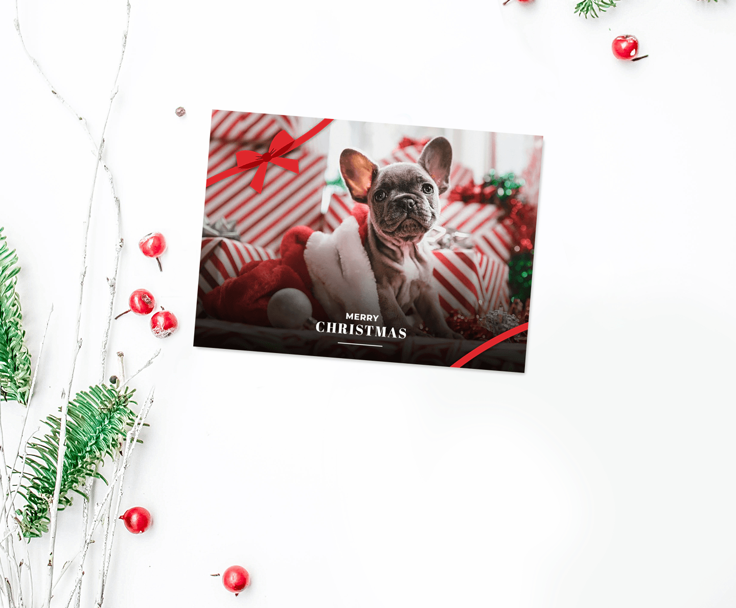 Christmas Bow Card