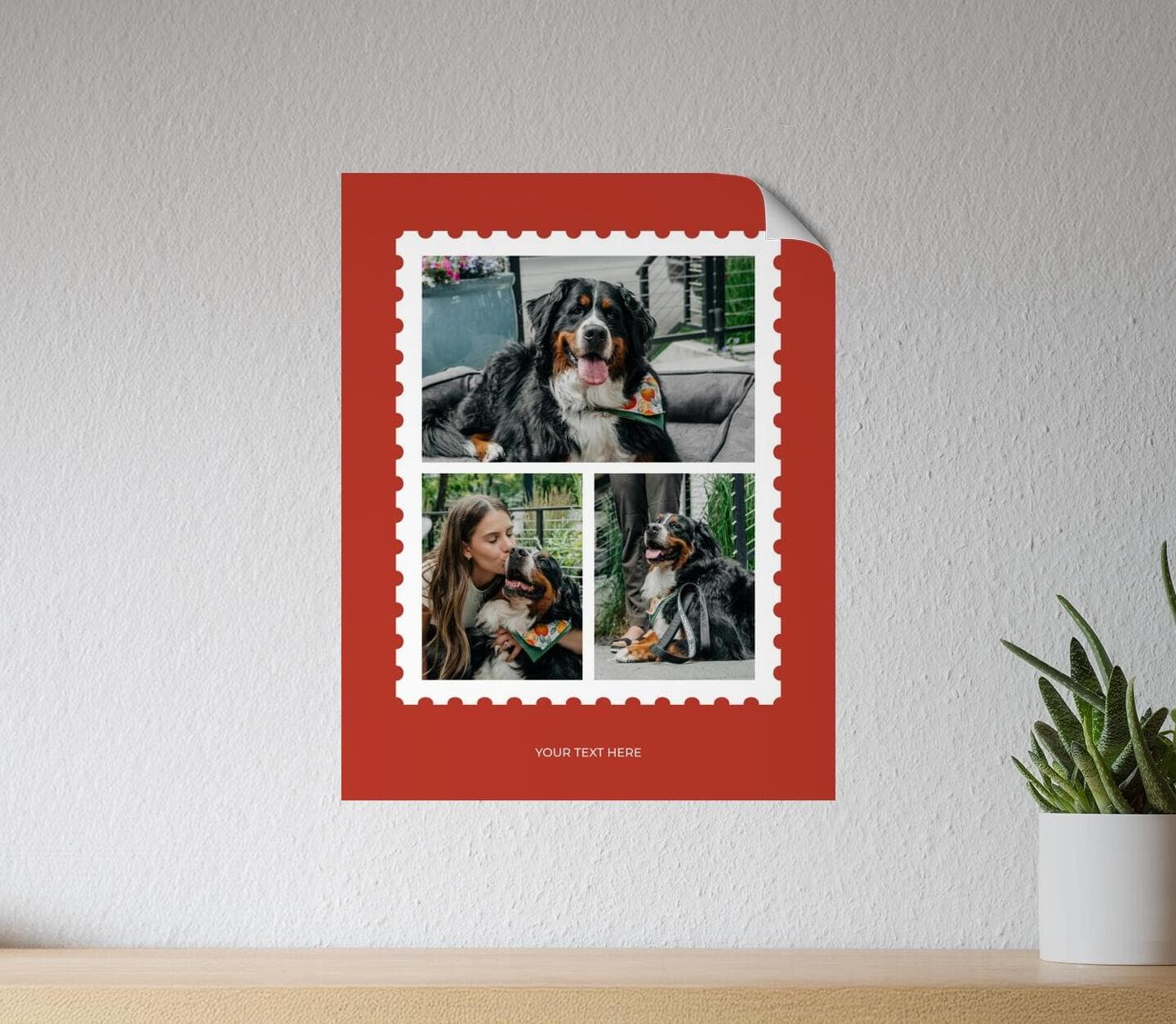 Red Three Photos Poster