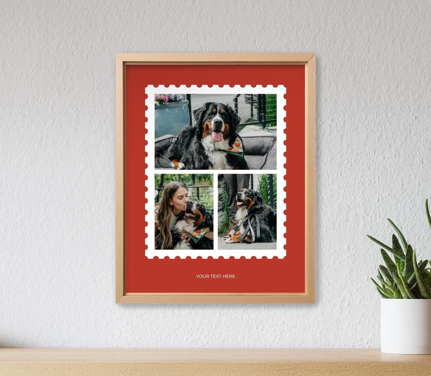 Red Three Photos Poster