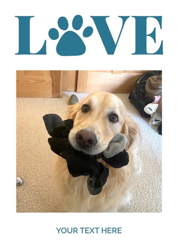 Love Dad Dog Card