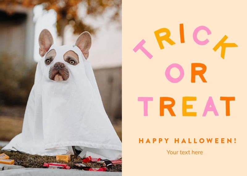Trick Or Treat Card
