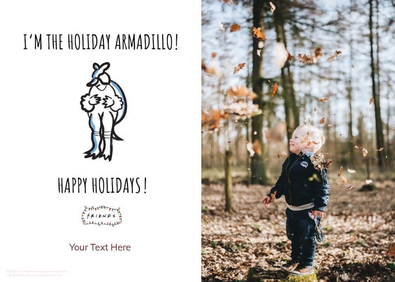 Friends™ Christmas Armadillo Card