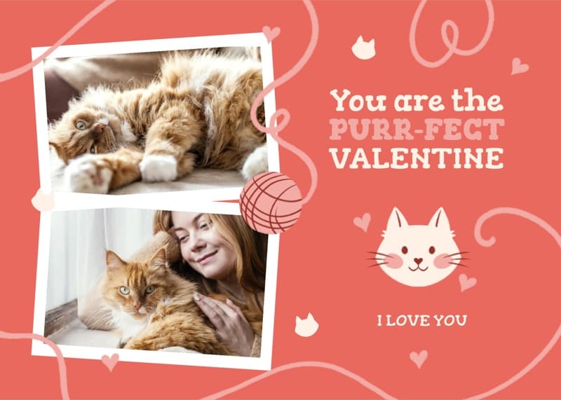 Purr-fect Valentine Multiphoto Card