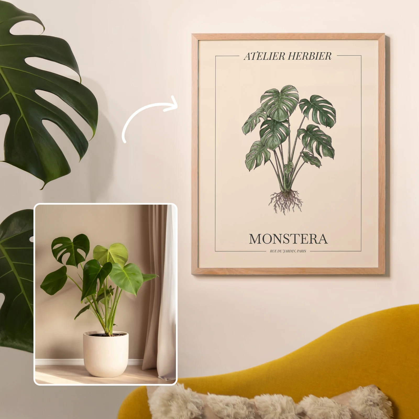 A vintage herbarium-style botanical poster