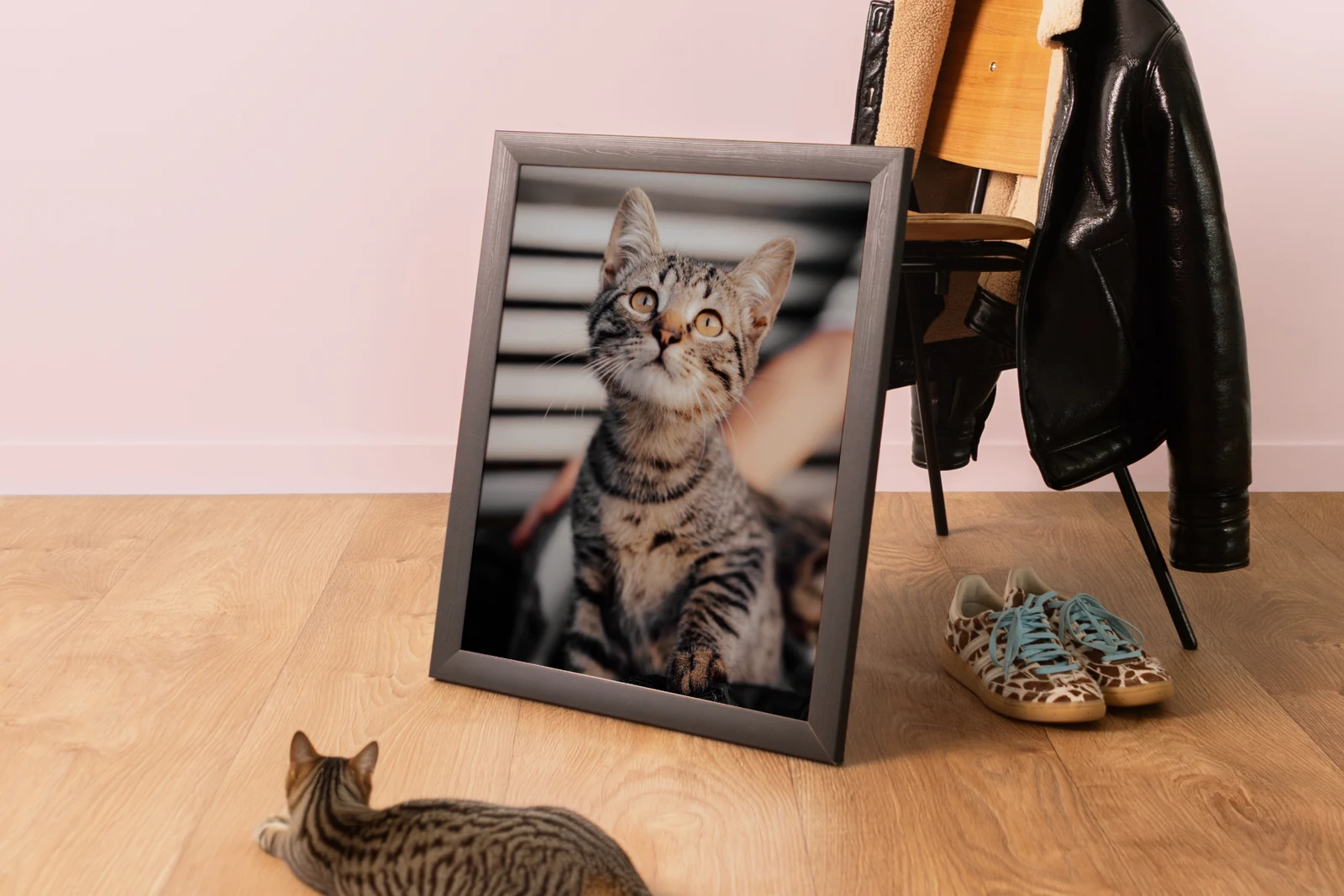 A photo of a pet before it becomes a poster