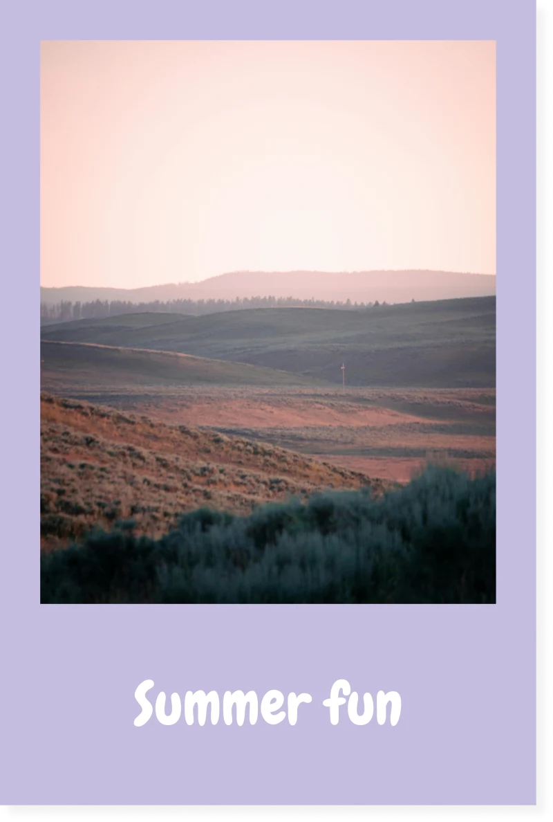 SOFT LILAC retro print design