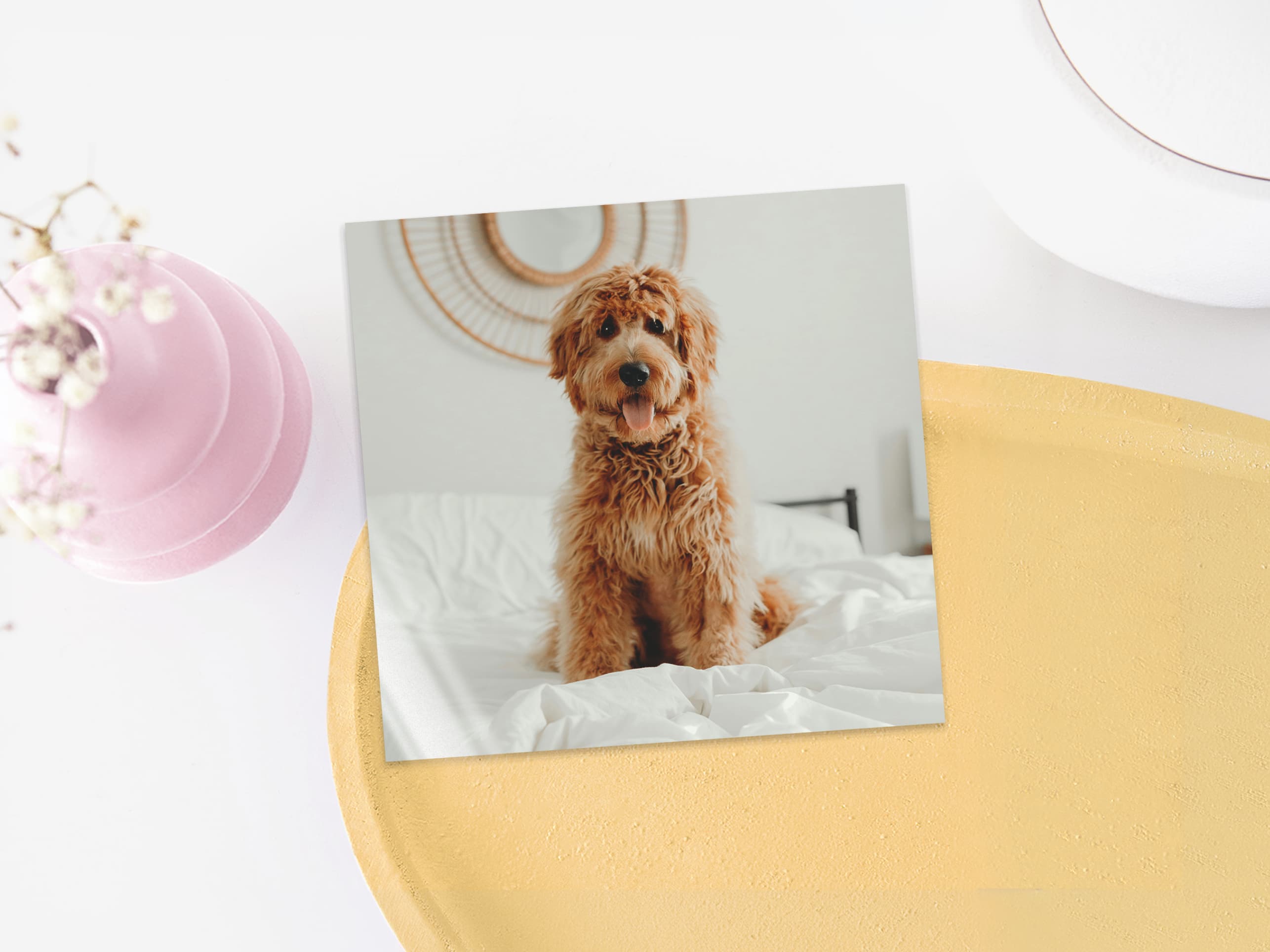 Print 6x6 glossy product preview