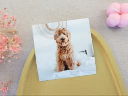 Print 6x6 matte product preview