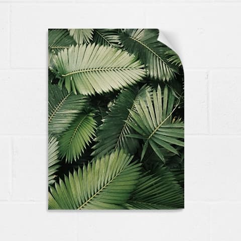 Adhesive Poster 11x14